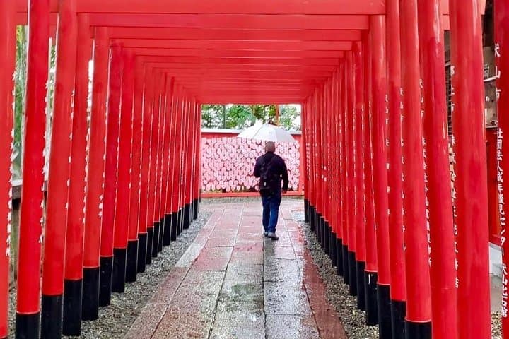 Intro to Japan: 8-Day Small-Group Cultural & Bullet Train Tour photo 2