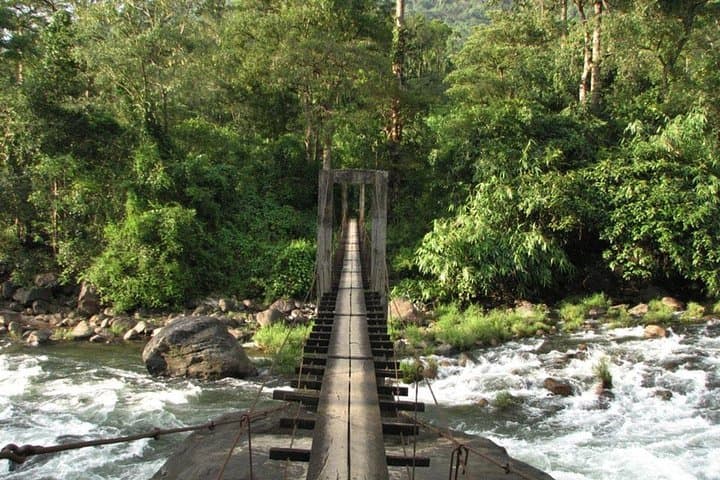 Anakulam & Mankulam Full-Day Trek and Jeep Safari from Munnar photo 2