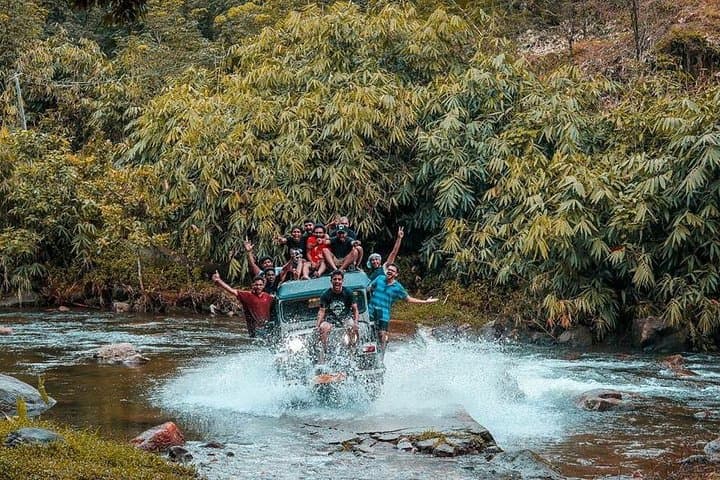 Anakulam & Mankulam Full-Day Trek and Jeep Safari from Munnar photo 3