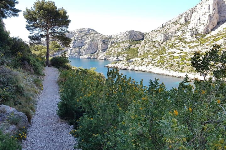 Explore Calanques National Park: Guided Coastal Hiking from Marseille to Morgiou photo 3