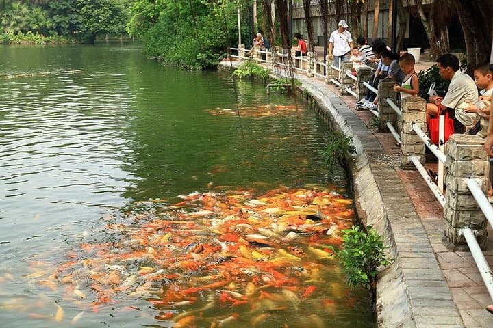Flexible Guangzhou City Highlights Tour with Dim Sum Tasting photo 2