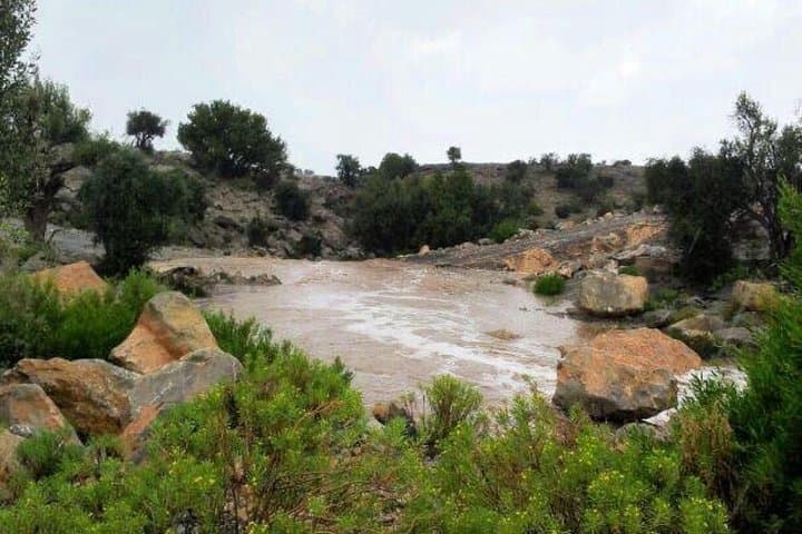 Jebel Akhdar Green Mountain 4WD Day Tour from Nizwa