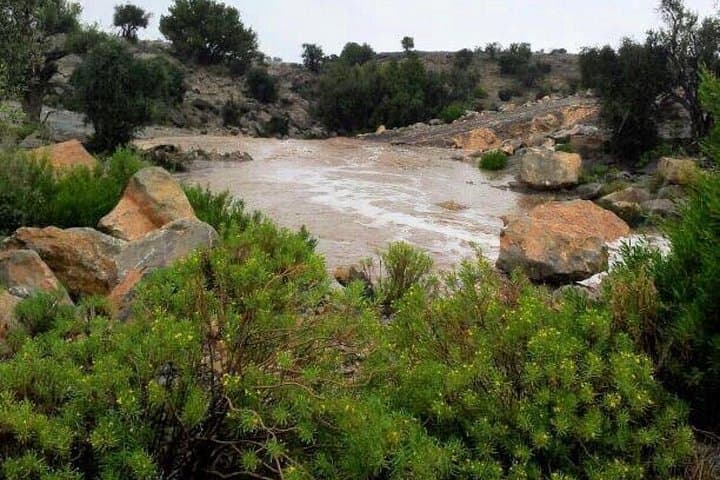 Jebel Akhdar Green Mountain 4WD Day Tour from Nizwa photo 6