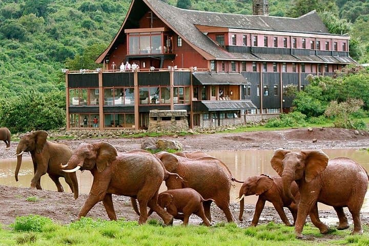 Private 5-Day Aberdares, Ol Pejeta & Samburu Wildlife Safari from Nairobi photo 1