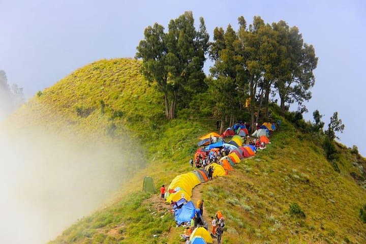 Trekking Mount Rinjani: 2-Day Sembalun Rim and Summit Trek photo 4