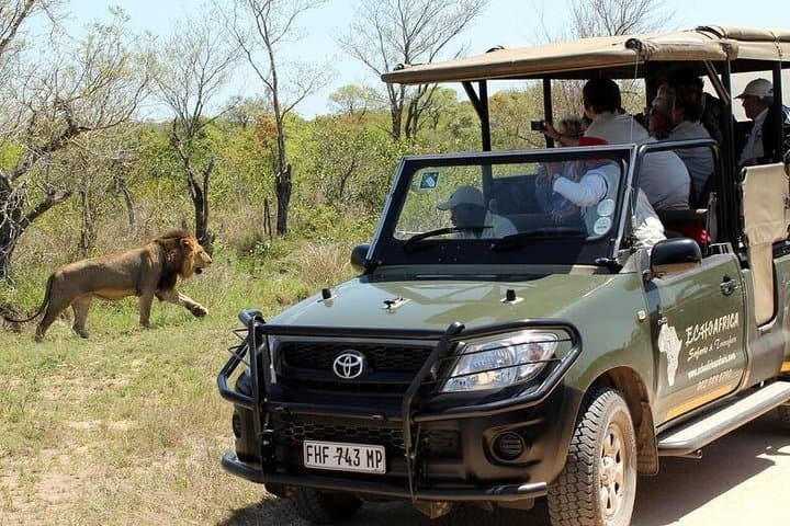 Best of South Africa: 8-Day Safari, Panorama Route & Cape Town Highlights