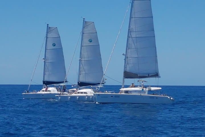 Private Catamaran to Playa Ses Platgetes — Formentera 7‑Hour Day Trip photo 4