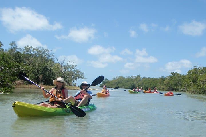 Paddle Bunche Beach: Guided Kayak Eco Tour in Fort Myers