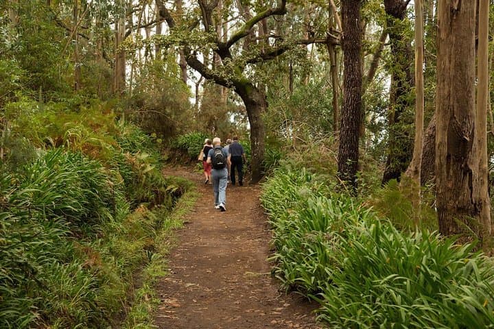 Mini Combo Expedition: Land Rover Jeep Safari and Levada Walk in Madeira photo 4