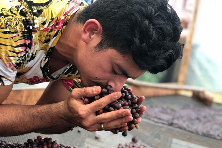 Coffee Tour Finca Jaguar — Bogotá Farm-to-Cup Immersion photo 1