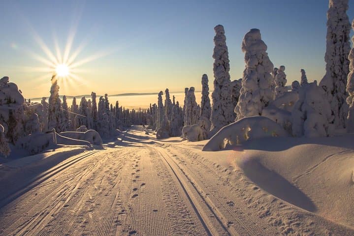 Prague to Jizera Mountains Cross-Country Skiing: Full-Day Guided Tour photo 2
