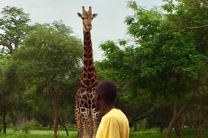 Bandia Park and Pink Lake Day Tour: Wildlife Safari and Lac Rose from Dakar