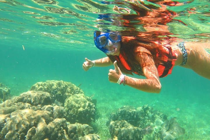 Snorkel Cancun’s Underwater Museum and Turtle Coves — 3-Stop Reef Tour photo 4