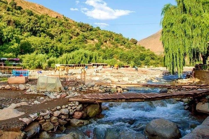 Ourika Valley Day Trip: Waterfalls, Berber Villages & High Atlas Views photo 1