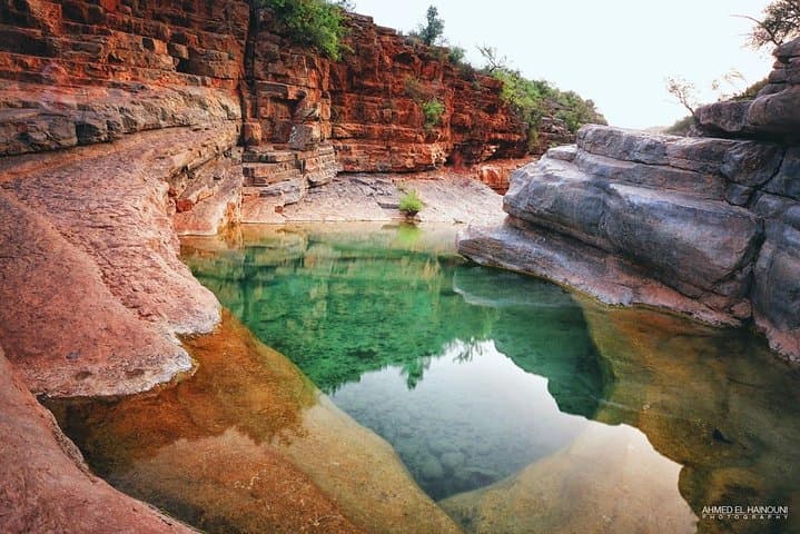 Half-Day Paradise Valley Excursion from Agadir: Pools, Gorges & Berber Villages photo 2