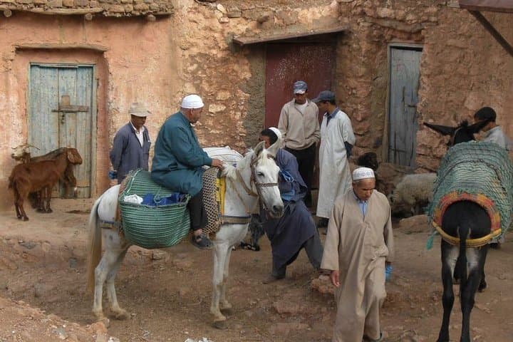 High Atlas Day Trip to Imouzzer Waterfalls & Paradise Valley from Agadir photo 6