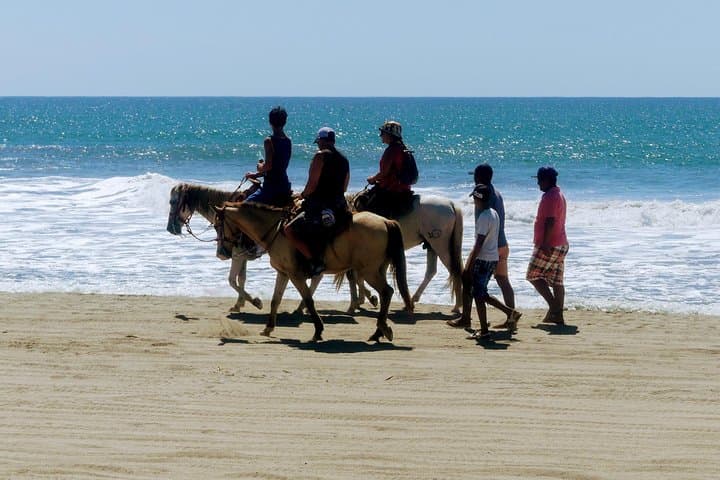 Acapulco Horseback Beach Ride, Crocodile Farm & Cliff Diver Experience photo 4