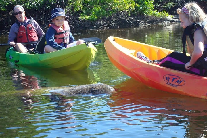 Paddle Bunche Beach: Guided Kayak Eco Tour in Fort Myers photo 2