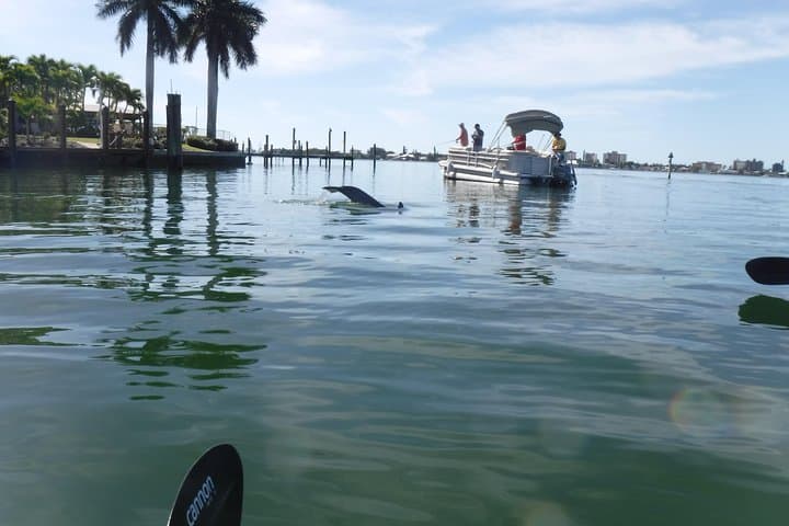 Paddle Bunche Beach: Guided Kayak Eco Tour in Fort Myers photo 4