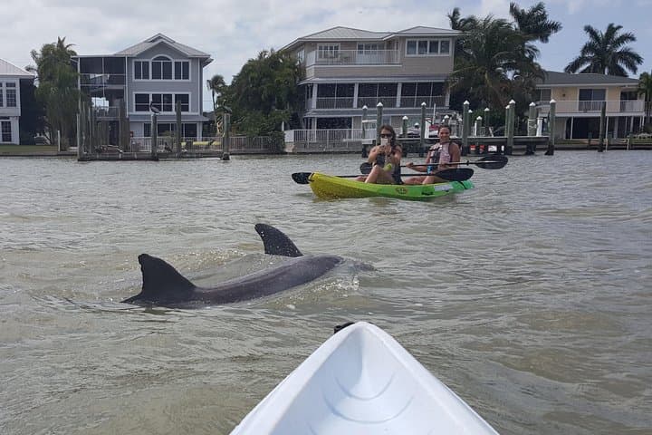 Paddle Bunche Beach: Guided Kayak Eco Tour in Fort Myers photo 5