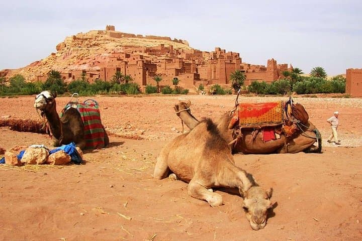 Camel Trek & Luxury Desert Camp: 2-Day Marrakech to Merzouga Erg Chebbi Adventure photo 1