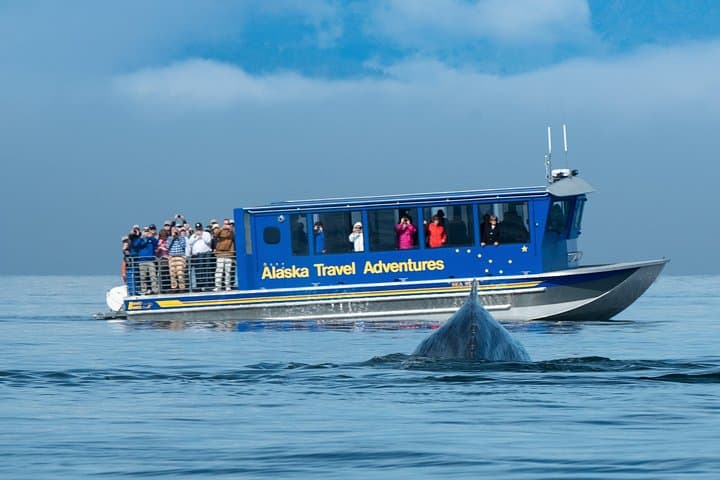 Juneau Whale Watching and Salmon Bake: Cruise, Wildlife & Alaska Salmon Feast photo 3