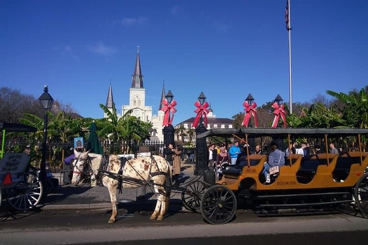 Private French Quarter Walking and Biking Tour: Treme & Marigny History photo 3