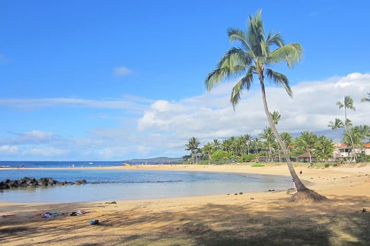 Explore Kauai’s South and West Shores on a Private Luxury Tour photo 4