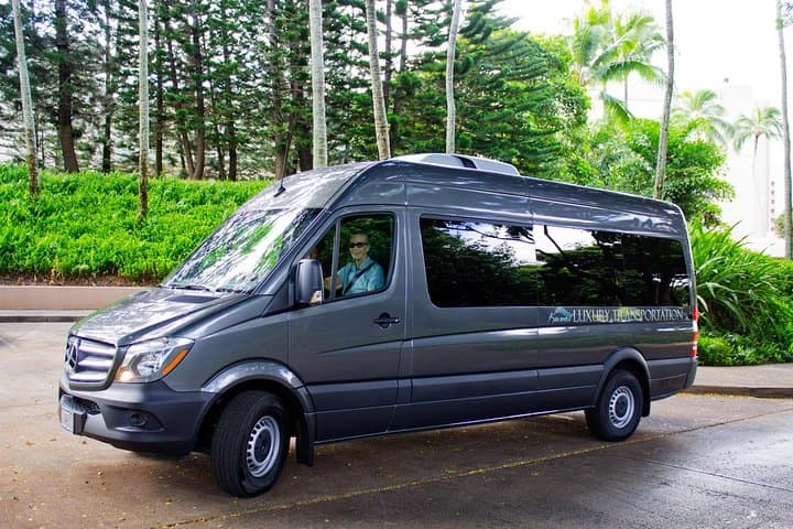 Explore Kauai’s South and West Shores on a Private Luxury Tour photo 6