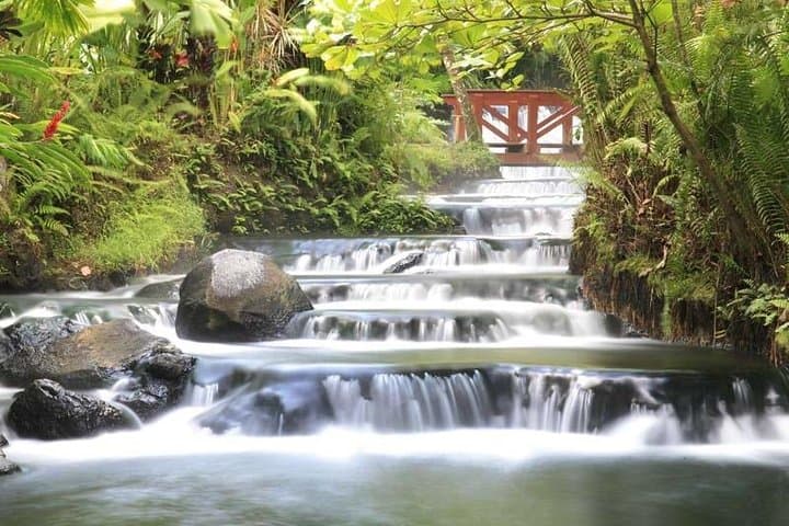 Tabacon Hot Springs Day Pass: Arenal's Natural Thermal River Experience photo 4