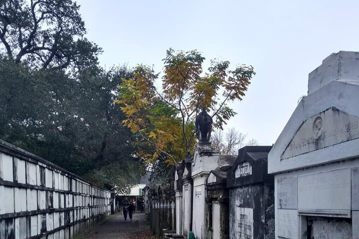 A Local's Garden District & French Quarter Walking Tour — Streetcars, Mansions, and Riverfront History