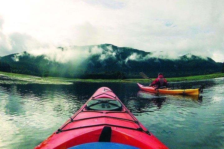 Mendenhall Glacier Sea Kayaking: Fritz Cove Glacier-View Kayak Tour from Juneau photo 4