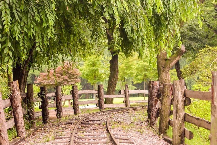 Seoul Day Trip: Nami Island, Petite France & Myeongdong - Tree Lanes, K-Drama Sets and Street Food