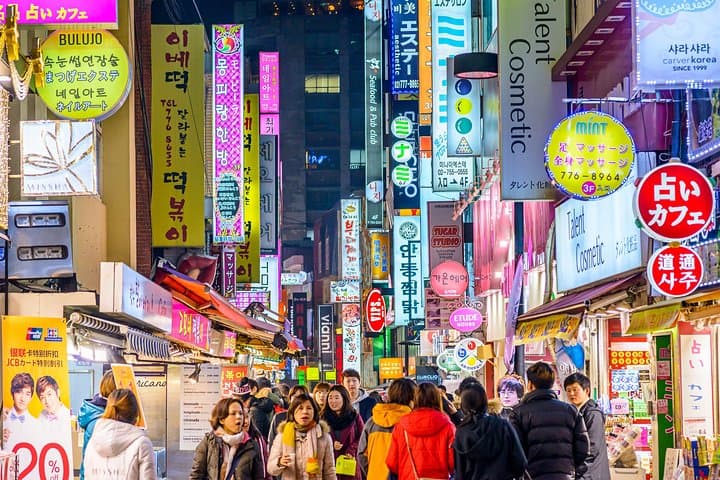 Seoul Day Trip: Nami Island, Petite France & Myeongdong - Tree Lanes, K-Drama Sets and Street Food photo 3