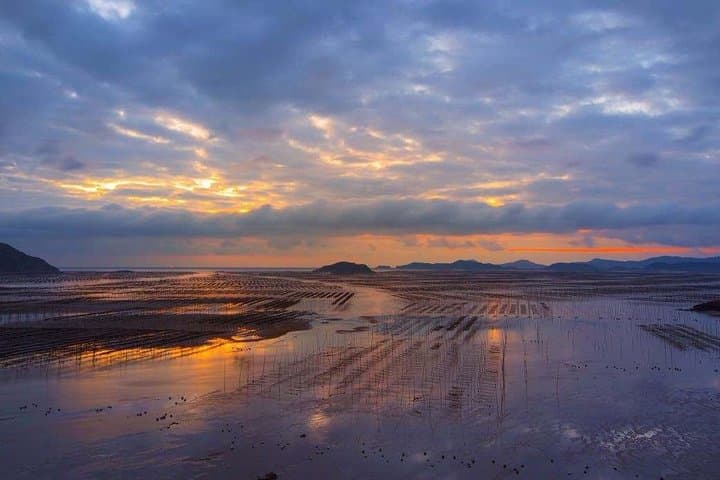 Xiapu Mudflat Photography Tour — Sunrise, Tides & Yangjia Stream photo 2