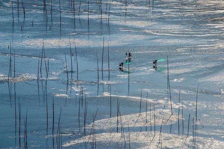 Xiapu Mudflat Photography Tour — Sunrise, Tides & Yangjia Stream photo 6