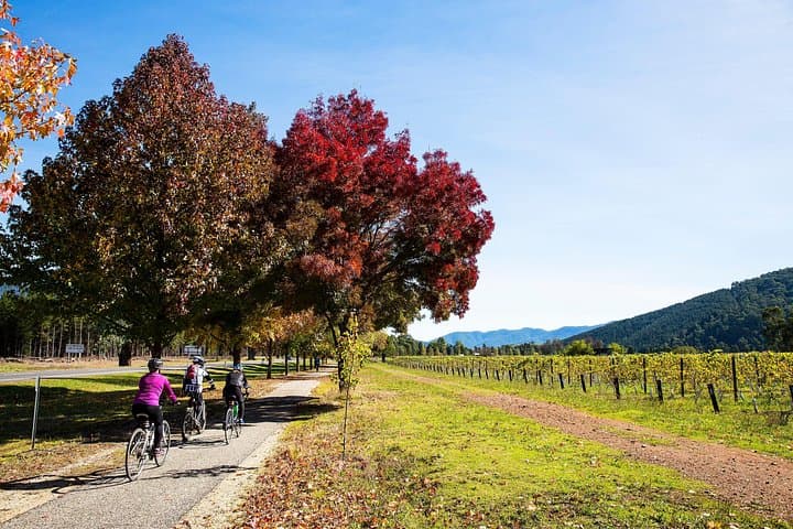 Murray to Mountains: 2-Night Guided Rail Trail Bike Tour from Beechworth to Bright photo 3