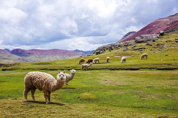 Ausangate Trek to Rainbow Mountain: 4-Day High-Altitude Hike from Cusco photo 6