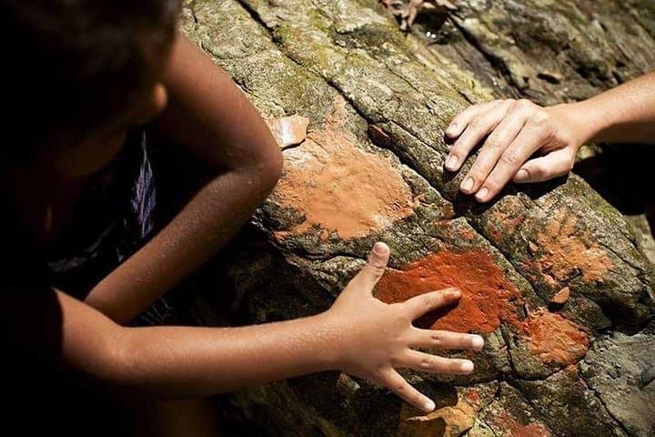 Daintree Walkabout: Half-Day Ngana Julaymba Dungay Cultural Walk with Kuku Yalanji photo 6