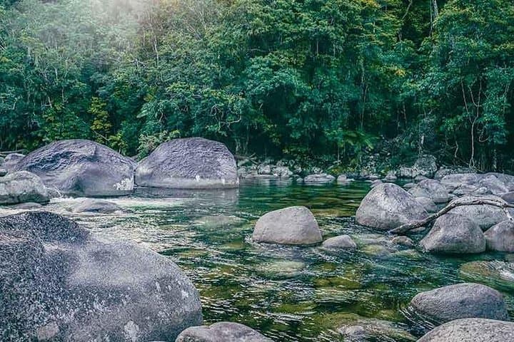 Daintree Walkabout: Half-Day Ngana Julaymba Dungay Cultural Walk with Kuku Yalanji photo 2