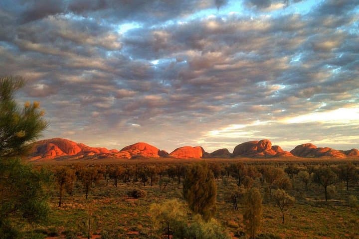 Kata Tjuta Sunrise Small-Group Tour: Walpa Gorge Breakfast Experience