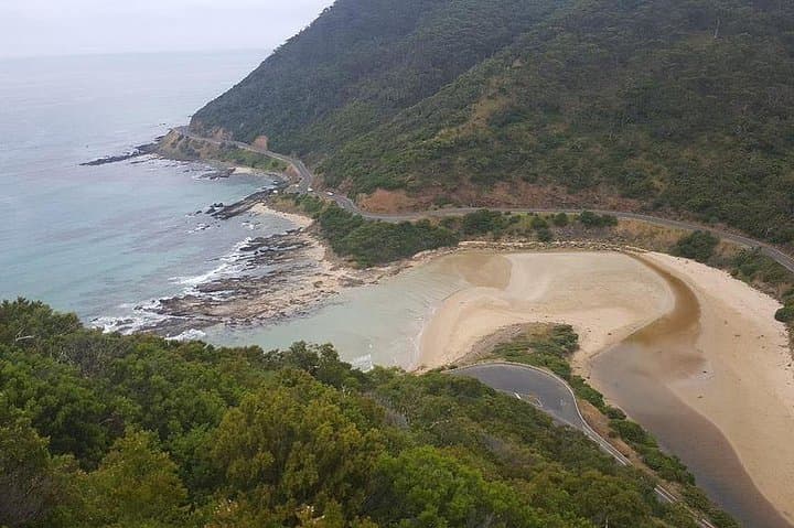 Great Ocean Road Private Tour: Twelve Apostles, Koalas & Otway Rainforest in One Day photo 6