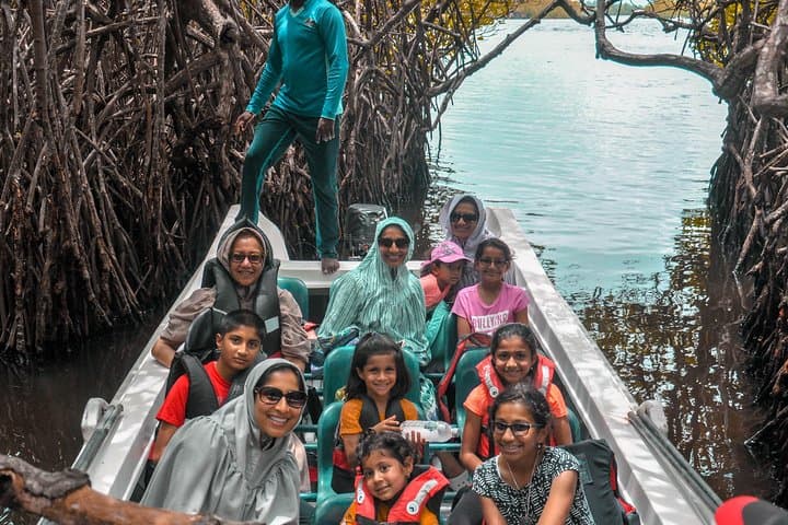 Week in Paradise: 7-Day Sri Lanka Circuit from Sigiriya to Bentota
