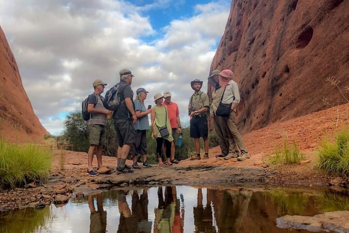 Kata Tjuta Sunrise Small-Group Tour: Walpa Gorge Breakfast Experience photo 6