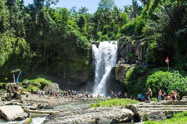 Best of Ubud Private Day Tour — Rice Terraces, Monkey Forest & Holy Springs photo 2