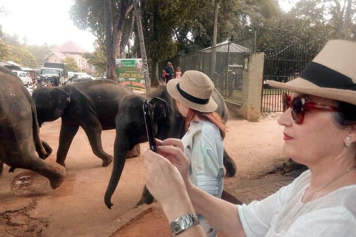 Explore Sri Lanka: A 5-Day Journey Through Culture and Nature photo 5