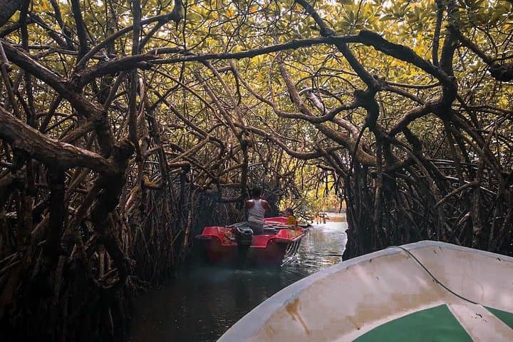 Cosy Sri Lanka: 3-Day Southern Coast Escape photo 6