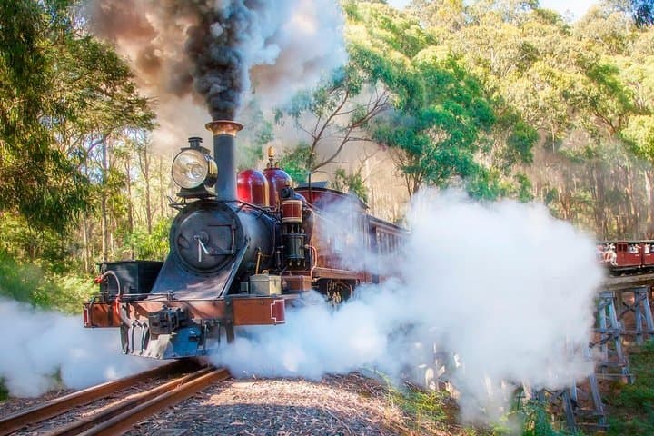 Puffing Billy & Mount Dandenong Private Tour: Steam Train, Gardens, and Mountain Views