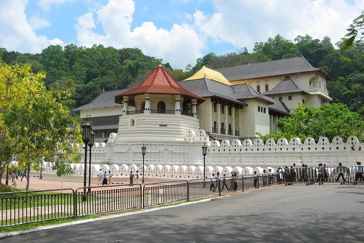 10-Day Sri Lanka Grand Circle: Cultural, Wildlife & Adventure Tour from Negombo