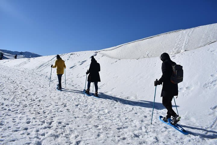 Snowshoe Hiking in Sierra Nevada — Hoya de la Mora Day Trip from Granada photo 2